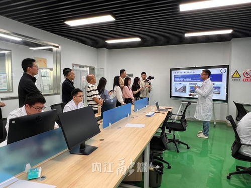 從“一”到“百” 內(nèi)江以技術(shù)咨詢?yōu)橛曷?，讓?chuàng)新種子長(zhǎng)成產(chǎn)業(yè)森林